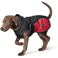 Hunter Hundemantel Uppsala Cozy anthrazit/rot, Rückenlänge: 35 cm
