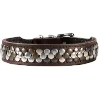 Hunter Arizona Up Braun für Hunde 32