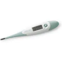 Alecto Digitales Thermometer Grün 1 St
