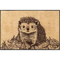 Wash & dry Fußmatte "Hedgy", bunt, B:50cm H:7mm L:75cm, Polyamid, BY KLEEN-TEX, Teppiche, Fußmatte