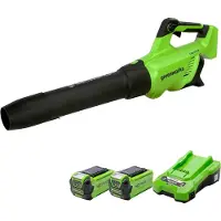 Greenworks Soffiatore per Foglie Assiale