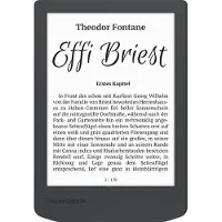 Pocketbook Verse Lite