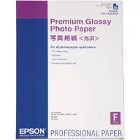 Epson Premium Glossy Photo Paper
