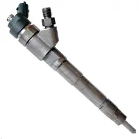 Bosch Einspritzdüse 0 986 435 163