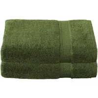 De Witte Lietaer Duschtuch Stéphanie Cactus (2er Set)