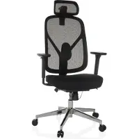 Hjh OFFICE Profi Bürostuhl RALOO PRO Ergonomischer Schreibtischstuhl mit Armlehnen (höhenverstellbar) Stoff / Netzstoff Schwarz Drehstuhl für Büro, Zuhause