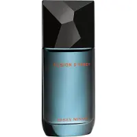 Issey Miyake Fusion D'Issey Eau de toilette Spray 100 ml Heren