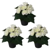 Creativ Green Kunstpflanze "Begonie" im 3er Set