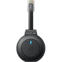 EcoFlow P1 Dongle Smart Meter