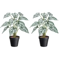Creativ Green Künstliche Zimmerpflanze "Syngonium" mit grünweißen Blättern