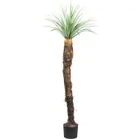Creativ Green Kunstpflanze "Yucca Rostrata" mit außergewöhnlichem Stamm