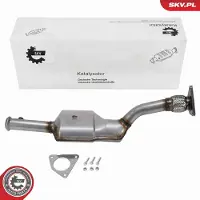 ESEN SKV Katalysator 62SKV131