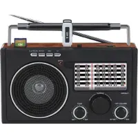 Datel Radio Frisky RD-70