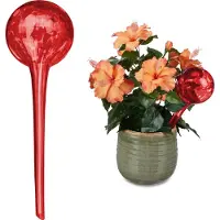 Relaxdays Bewässerungskugel 2er Set, dosierte Pflanzen Bewässerung, Blumentopf, Gießhilfe Büro, Urlaub, Glas Ø 9 cm, rot