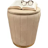 Relaxdays Hocker aus Samt mit Stauraum