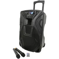 Qtx Busker 12 PA mit VHF-Mikrofonen Media-Player & Bluetooth