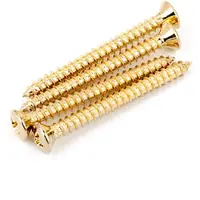 Fender Halsbefestigungsschrauben Gold (4)