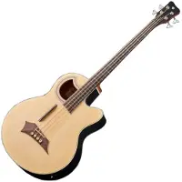 Warwick RockBass Alien Standard Fretless Akustikbass Natur