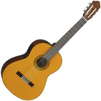 Yamaha CGX102