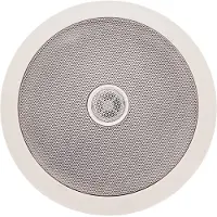 SubZero 6"-Deckenlautsprecher 100 V Line