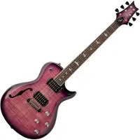 Paul Reed Smith PRS SE Zach Myers 594 Elderberry Burst (2026)