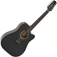 Takamine GD30CE 12-saitige Elektro akustische Black