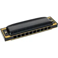 Hohner Pro Harp MS Mundharmonika C