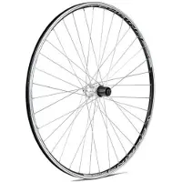 Gurpil Chrina 7s Rennrad-hinterrad Schwarz 9 x 130 mm Schwarz 9 x 130 mm