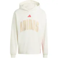 Adidas Stadium Graphic Kapuzenpullover