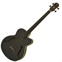 Aria FEB-F2M/FL Medium Scale Fretless Bass schwarz gebeizt