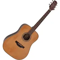 Takamine GD20-NS Dreadnought Akustikgitarre Natur