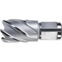 Alfra Kernbohrer HSS blank 30/30mm
