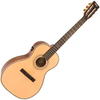 Vintage Paul Brett Elektroakustik