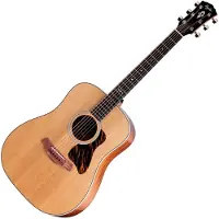 Taylor Guitars Taylor Gold Label 510e