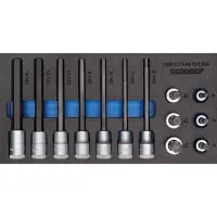 Gedore 1500 CT1-IN 19 LKM Satz Schraubendrehereinsätze 1/2" in Check-Tool-Modul, 2308932
