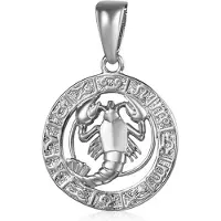 JVD Silver pendant Rak SVLP0713XH200RA
