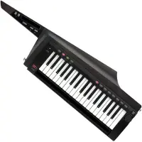 Korg RK100S2 Keytar schwarz