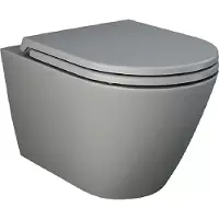RAK ceramics RAK Feeling WC RST23503A, spülrandlos wandhängend, grau matt