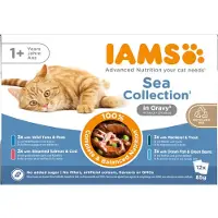 IAMS Delights Adult Meereskollektion in Sauce Nassfutter Katze (12x85 g)