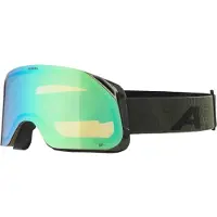 Alpina Herren Brille BLACKCOMB Q-LITE