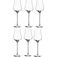 Leonardo Weinglas Brunelli 210 ml (6-Teilig)
