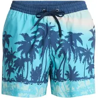 Quiksilver Boardshorts Everyday Printed Volley 15"