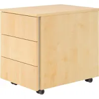 BaseLite Rollcontainer