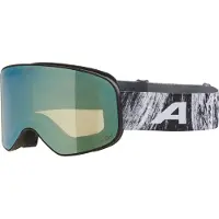Alpina Skibrille Slope Q-Lite Unisex Black/Glacier Matt