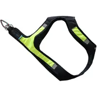 Axaeco X-run Hundegeschirr