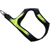 Axaeco X-run Hundegeschirr