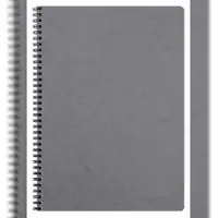 Clairefontaine 5x Spiralbuch Age Bag A4 kariert 40Bl grau - Grau 781425C