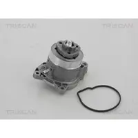 TRISCAN Wasserpumpe 8600 29056