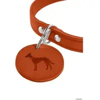Hunter Halsband Aalborg S (42), orange