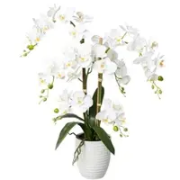 P&b Kunstpflanze Orchideen Weiß